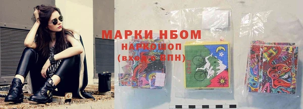 прущий лед Алзамай