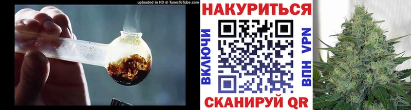 Каннабис сатива  купить   Заполярный 